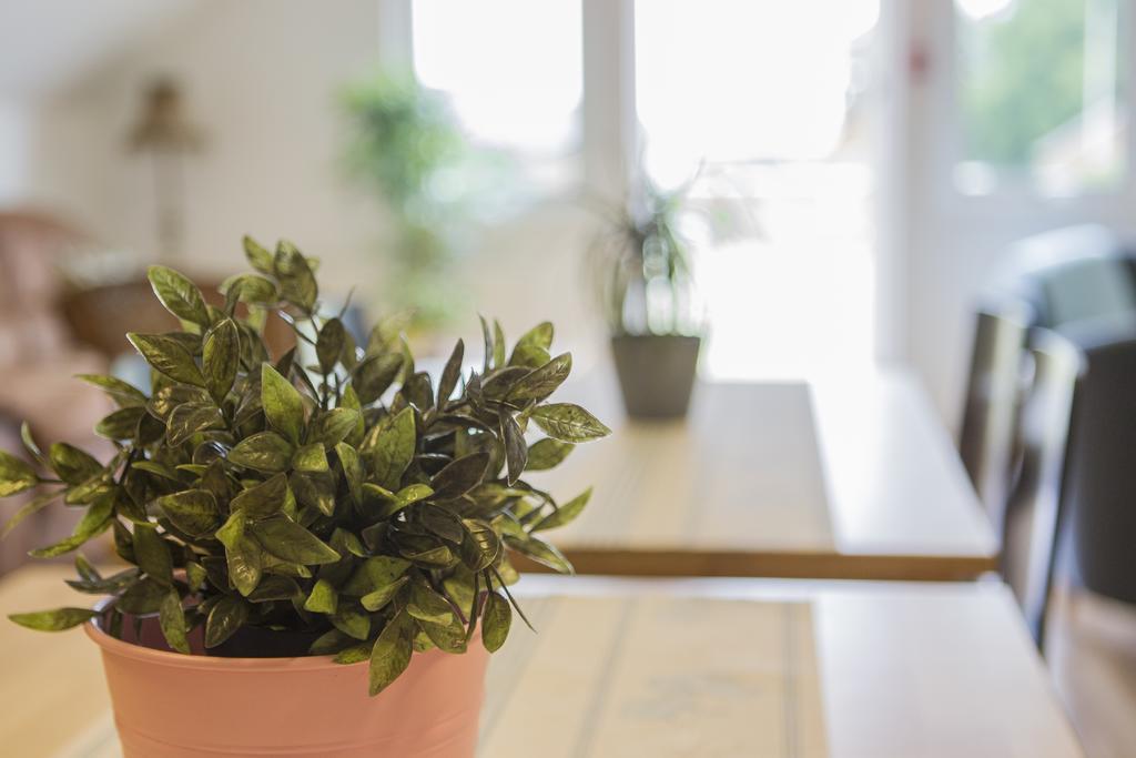 Bruksparkens Hostel 벨링에 시 외부 사진
